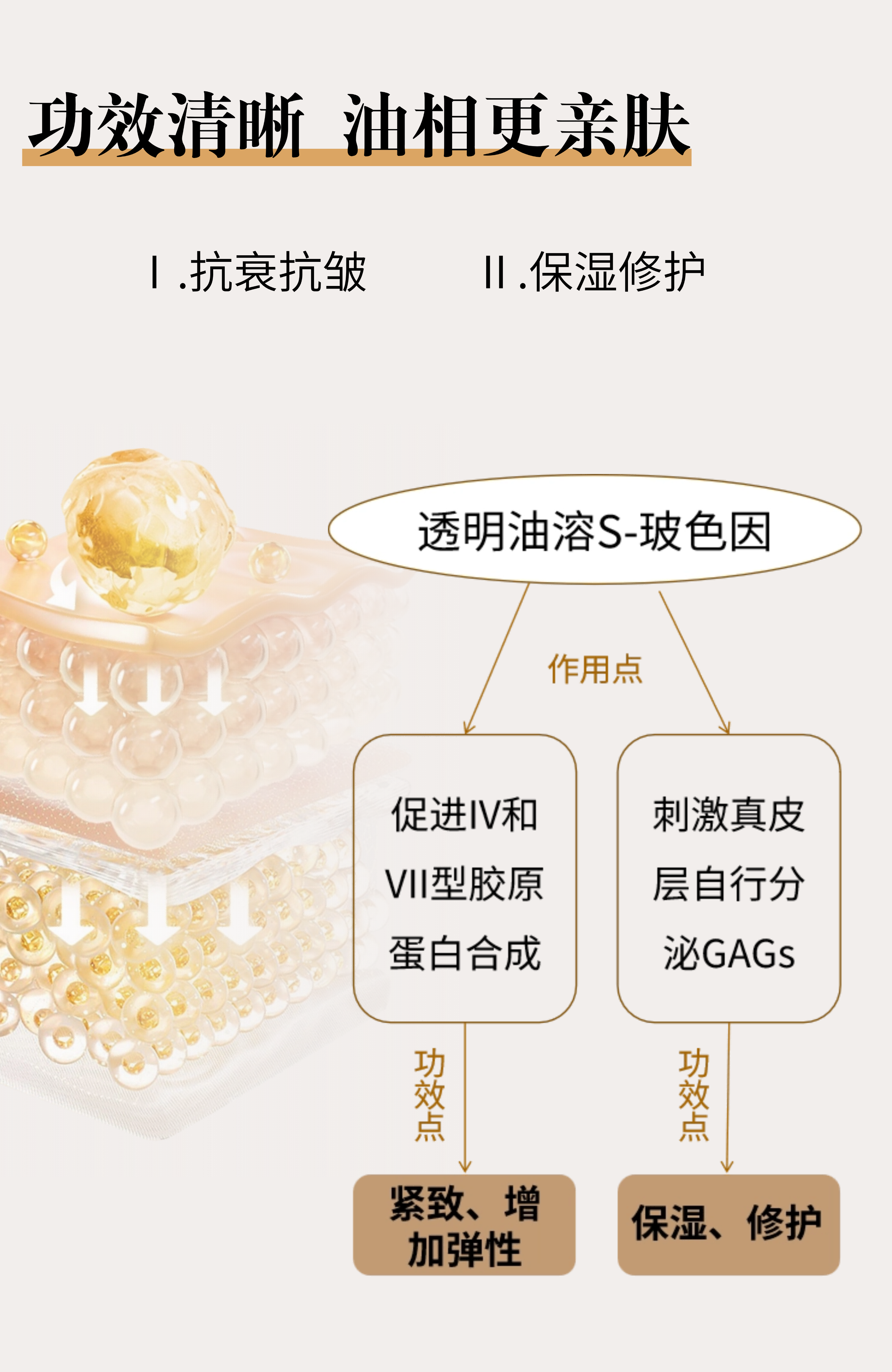 切圖_透明油溶S-玻色因-7.png